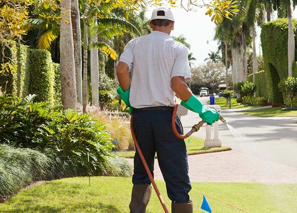 About Waimea HI Pest Control